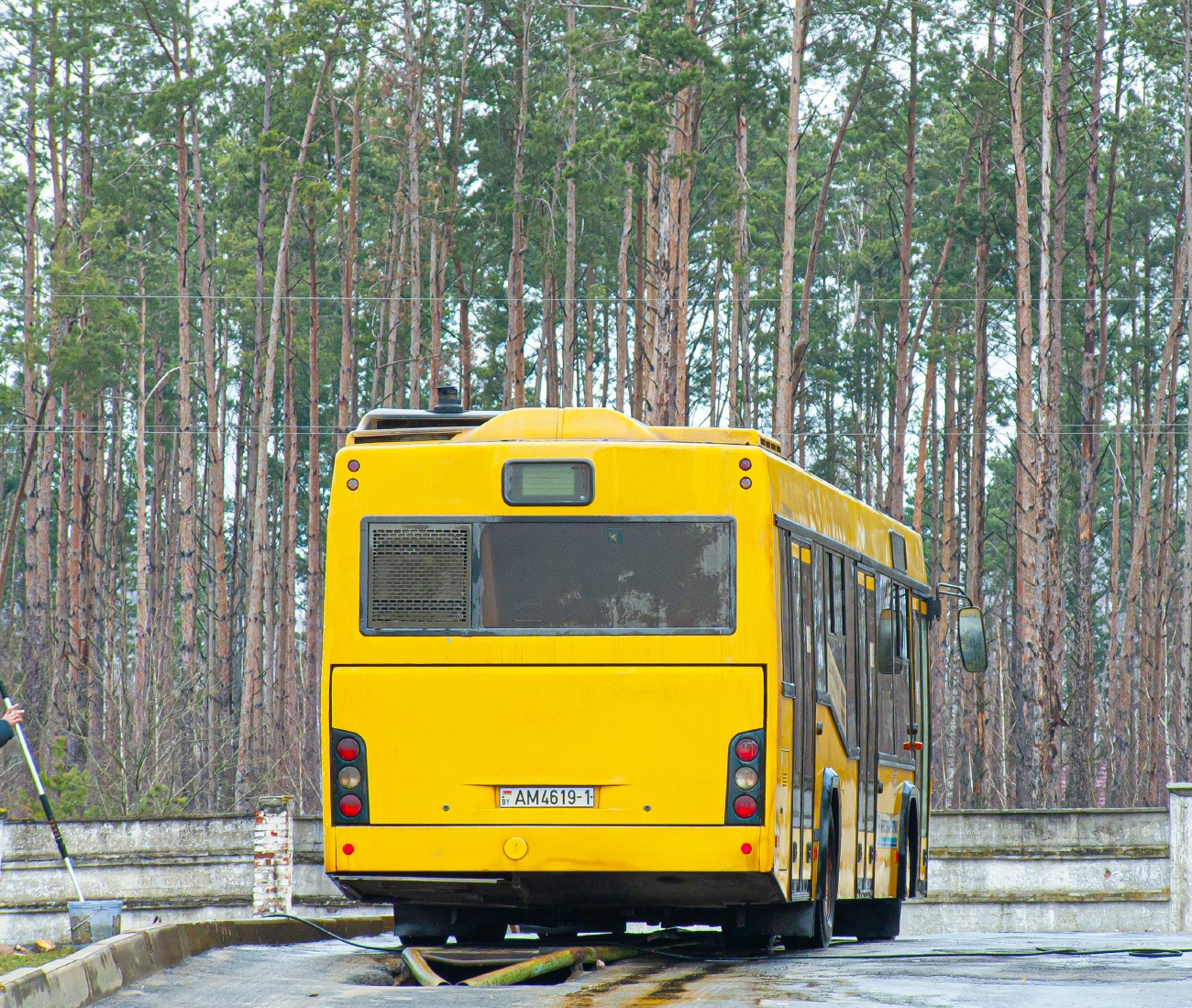 Brest region, MAZ-103.486 # 14907
