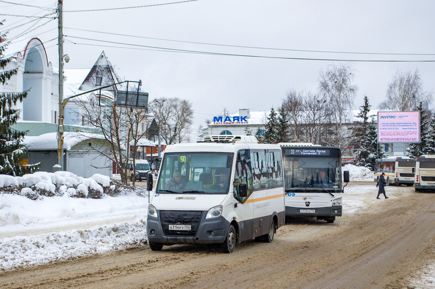 Московская область, Луидор-2250DS (ГАЗ Next) № 107714