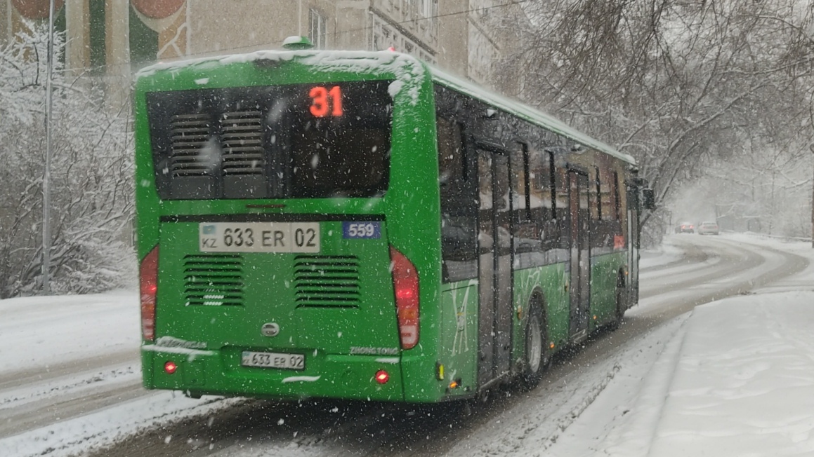 Алматы, Zhong Tong LCK6125HGAN № 559