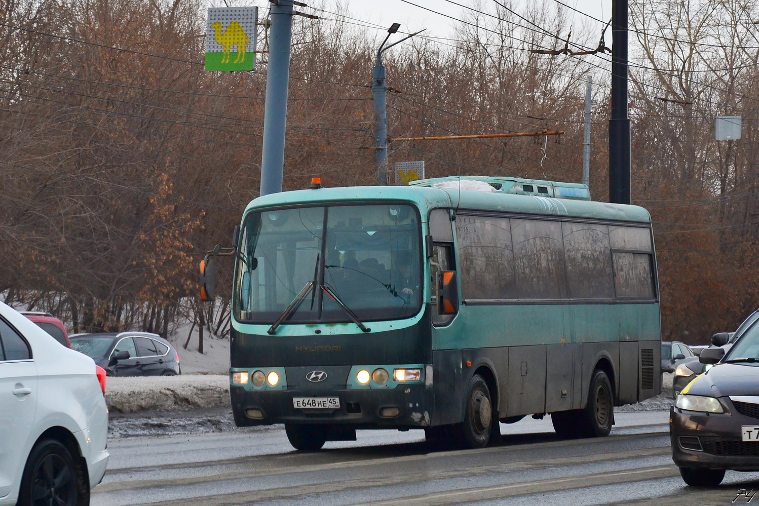 Челябинская область, Hyundai AeroTown № Е 648 НЕ 45