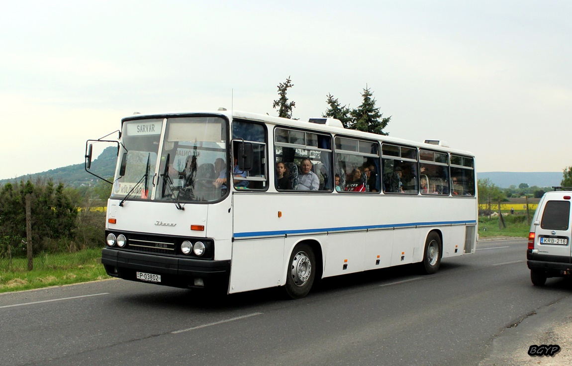 Венгрия, Ikarus 256.50E № P-03802 21; Венгрия — III. Nemzetközi Ikarus Találkozó, Tapolca (2022)