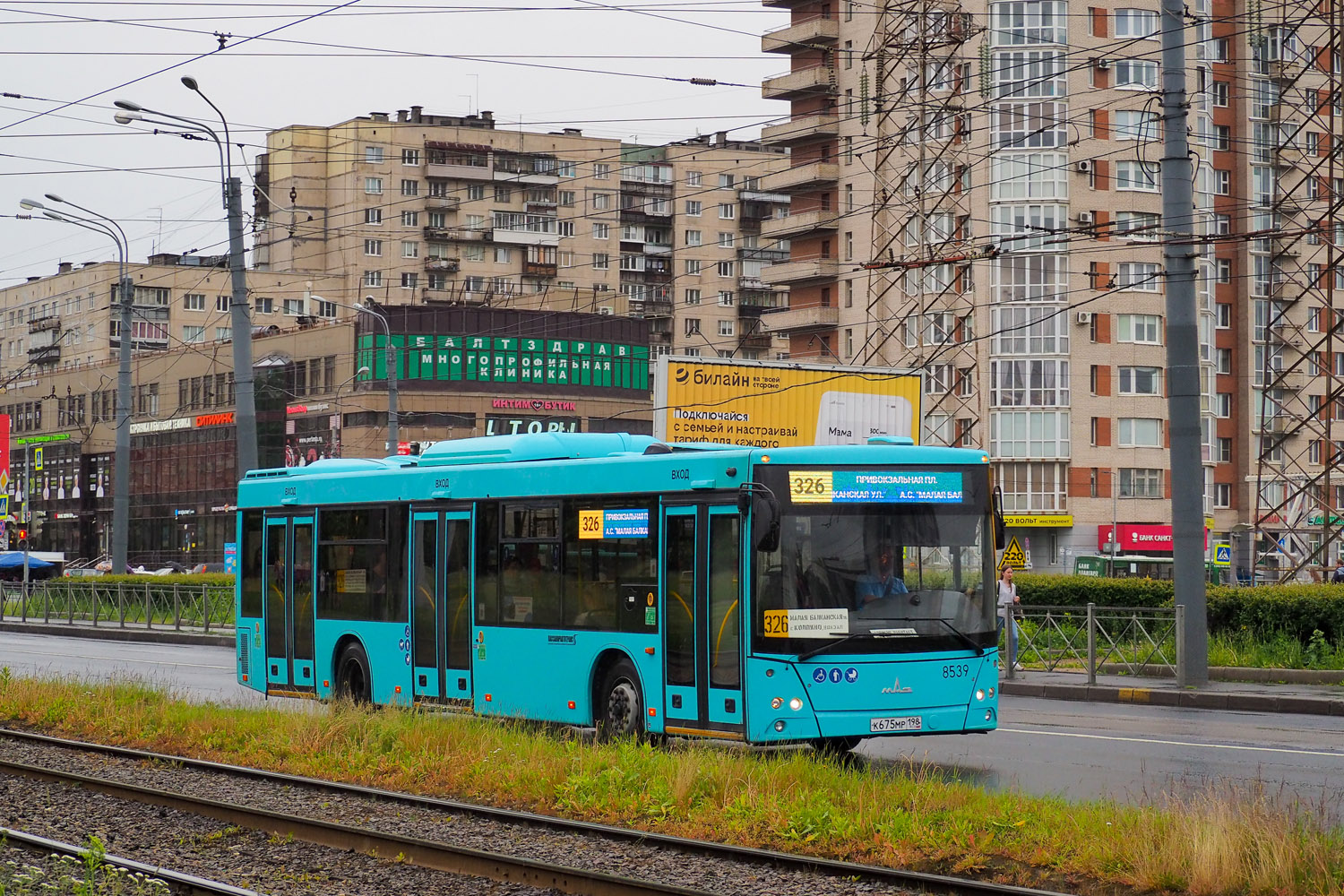 Санкт-Петербург, МАЗ-203.016 № 8539