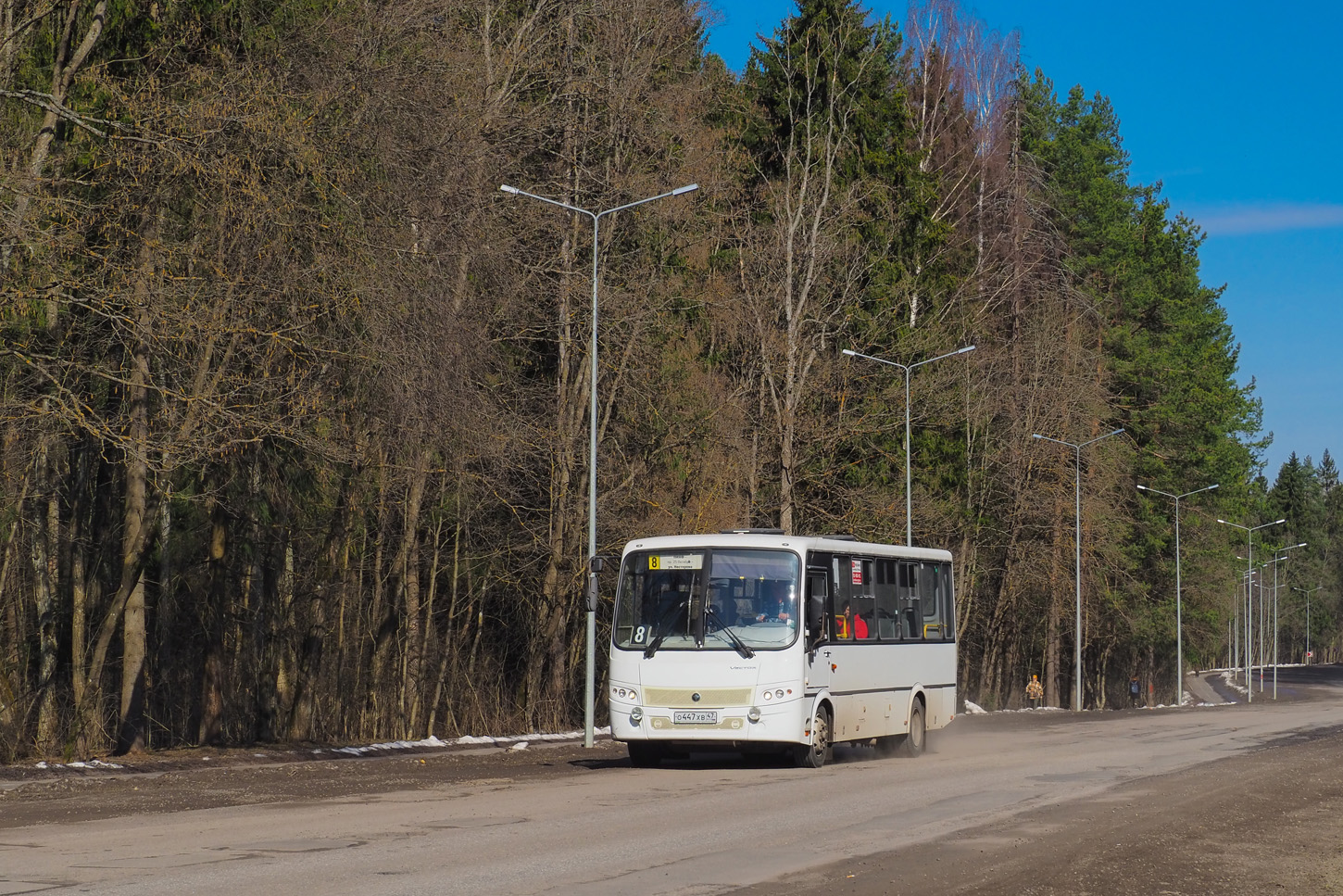 Ленинградская область, ПАЗ-320412-05 "Вектор" № О 447 ХВ 47