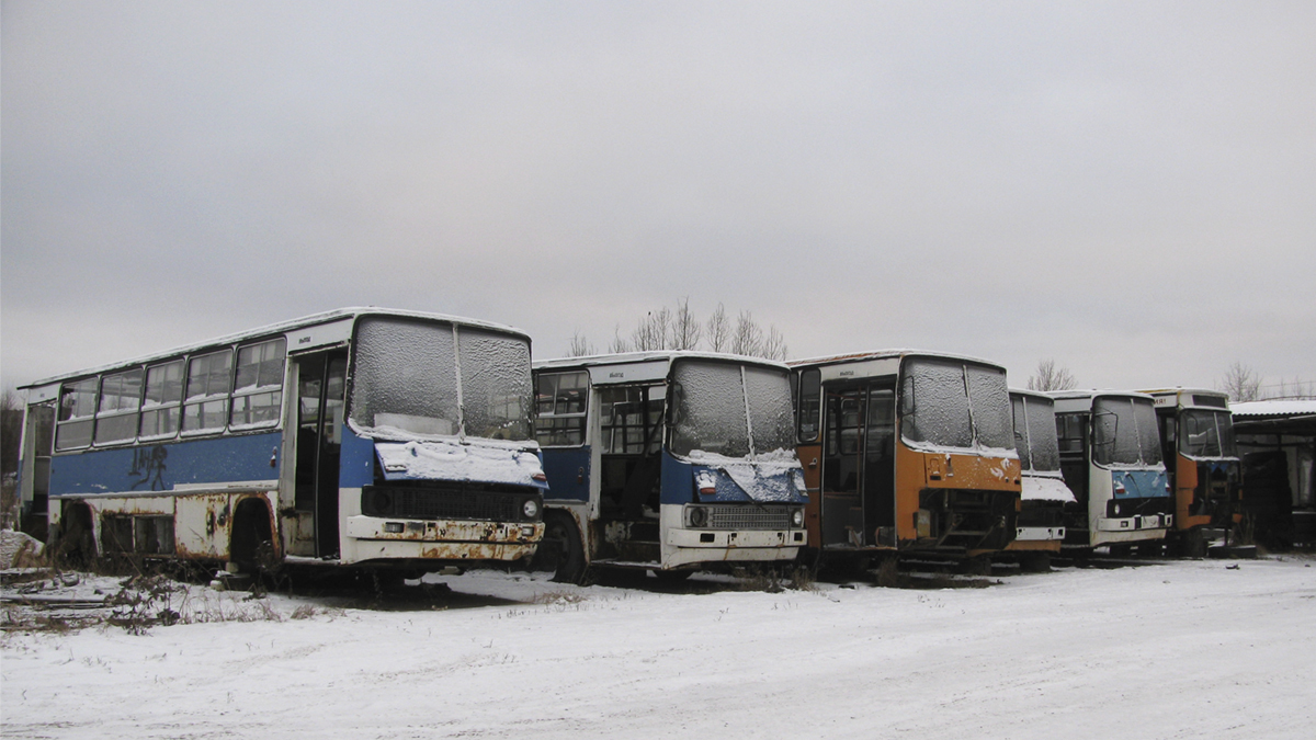 Архангельская область, Ikarus 260.51F № АС 113 29