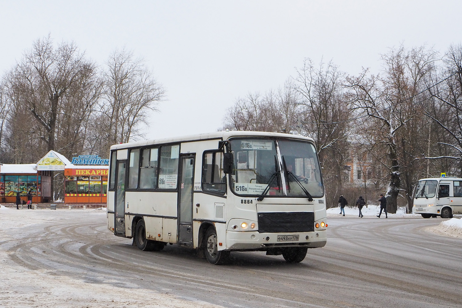 Ленинградская область, ПАЗ-320402-05 № 8864