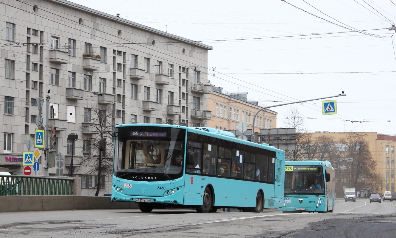 Санкт-Петербург, Volgabus-5270.G4 (LNG) № 6460