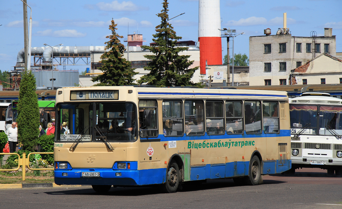 Витебская область, Неман-52012 № 019828