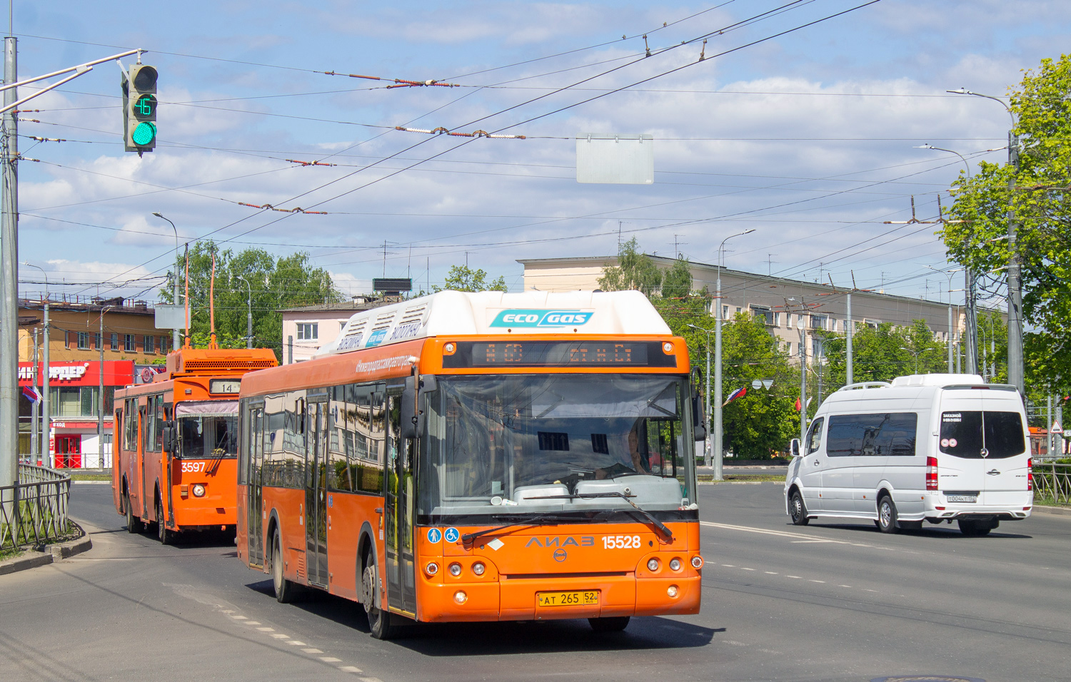 Нижегородская область, ЛиАЗ-5292.67 (CNG) № 15528