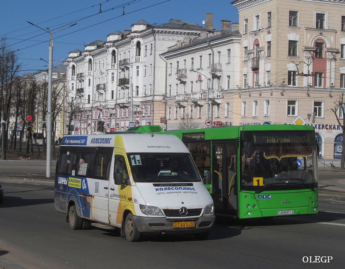 Витебская область, Луидор-223203 (MB Sprinter Classic) № 2 ТАХ 5450