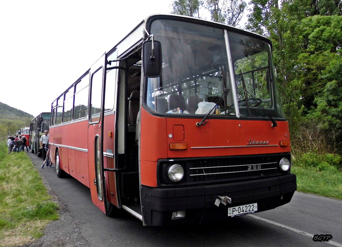 Венгрия, Ikarus 256.50E № P-04222 15; Венгрия — I. Nemzetközi Ikarus Találkozó, Tapolca (2016)