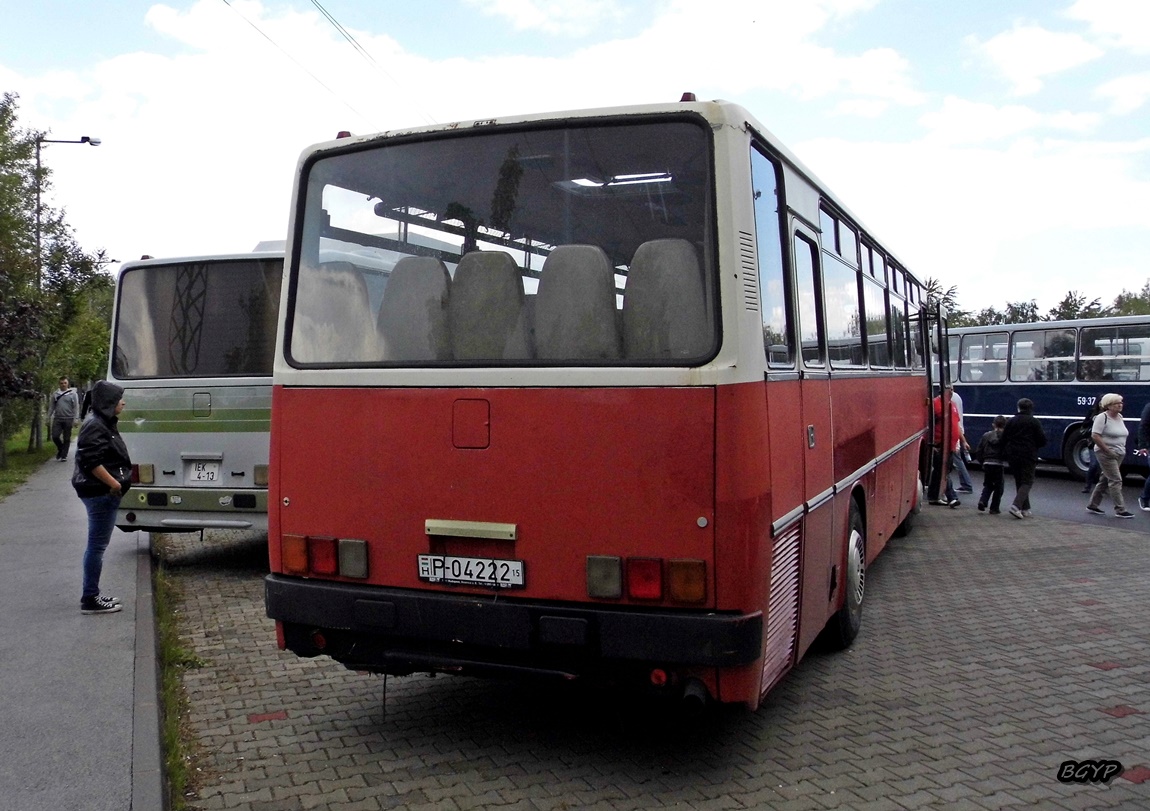 Венгрия, Ikarus 256.50E № P-04222 15; Венгрия — I. Nemzetközi Ikarus Találkozó, Tapolca (2016)