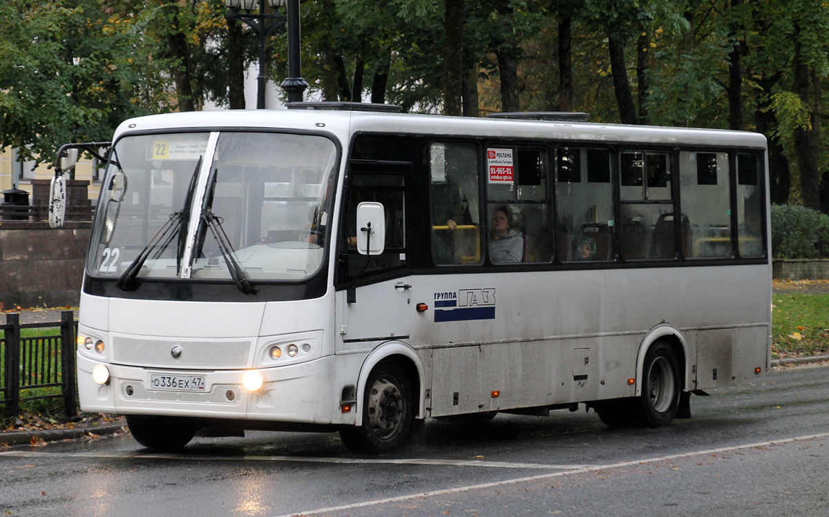 Ленинградская область, ПАЗ-320412-05 "Вектор" № О 336 ЕХ 47