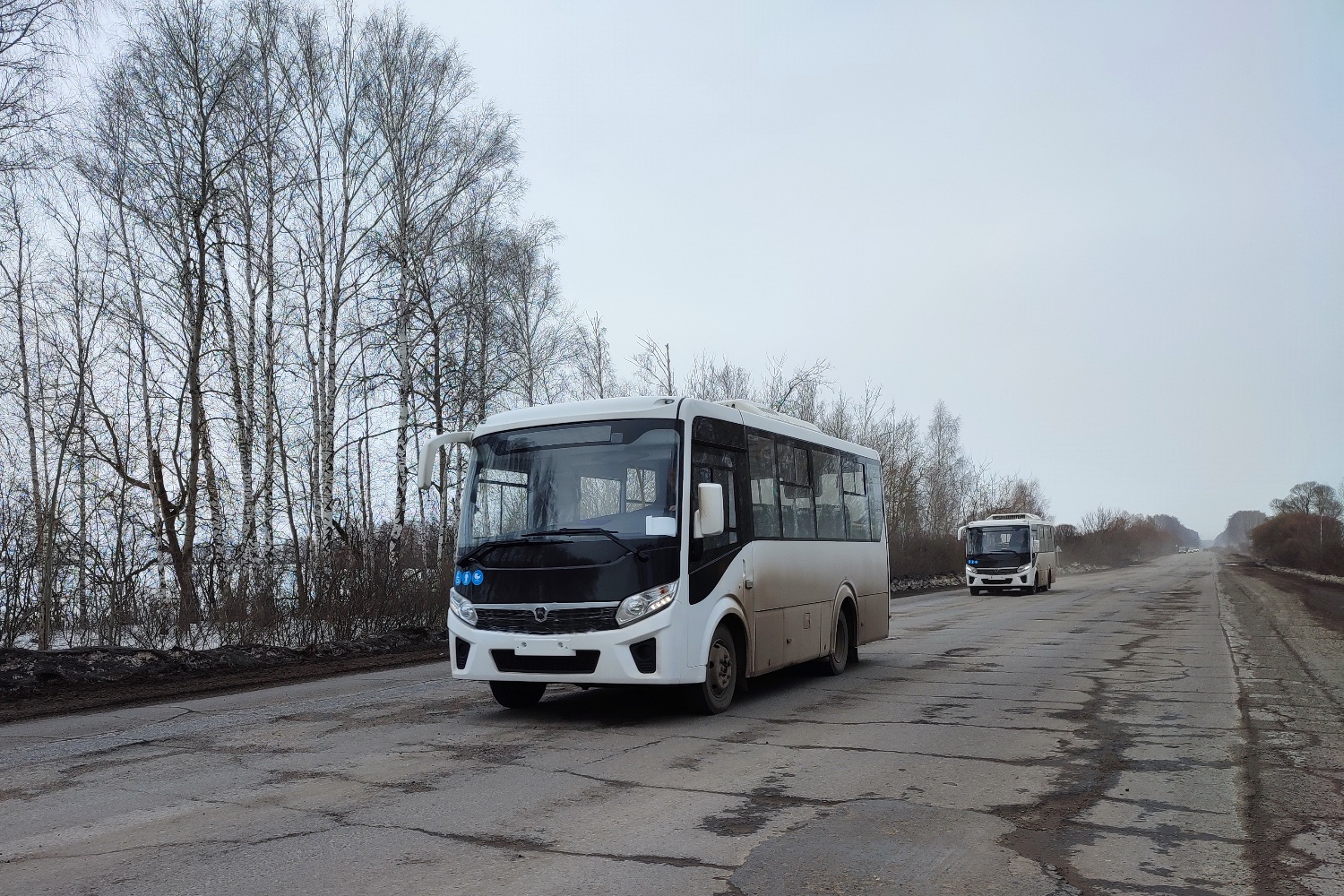 Тамбовская область — Автобусы без номеров