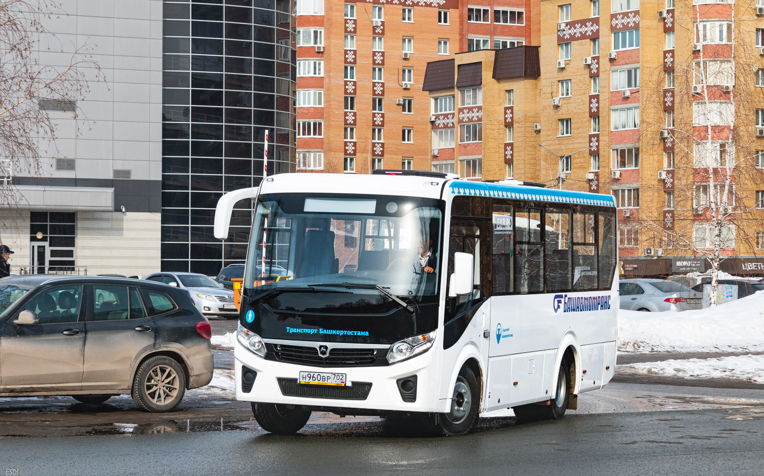 Башкортостан, ПАЗ-320405-04 "Vector Next" № 0810; Башкортостан — Презентации новых автобусов ГУП "Башавтотранс"