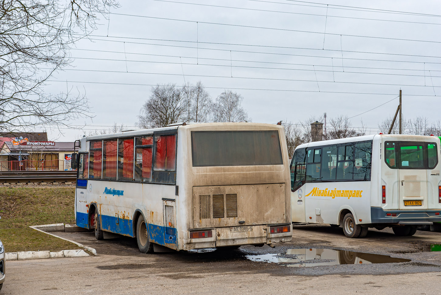 Минская область, ПАЗ-4230-01 (2-2) (КАвЗ) № 808770 Минская область, ПАЗ-4230-01 (2-2) (КАвЗ) № 808770
