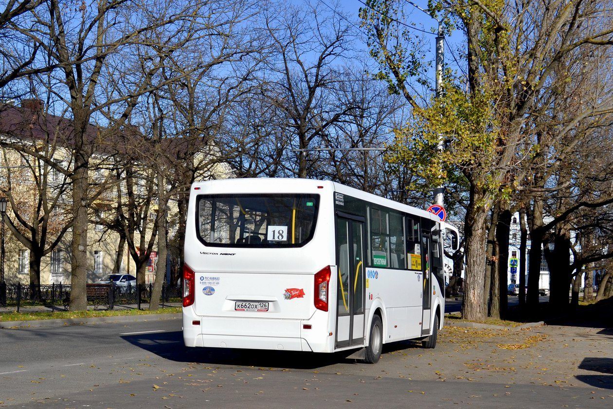 Ставропольский край, ПАЗ-320415-04 "Vector Next" № К 662 ОХ 126