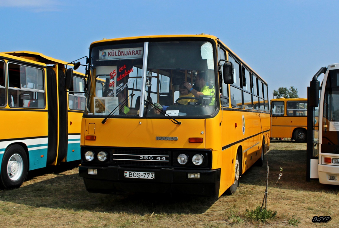 Венгрия, Ikarus 256.44 № BOS-773; Венгрия — XI. Nemzetközi Ikarus, Csepel és Veteránjármű Találkozó, Folyás (2018)