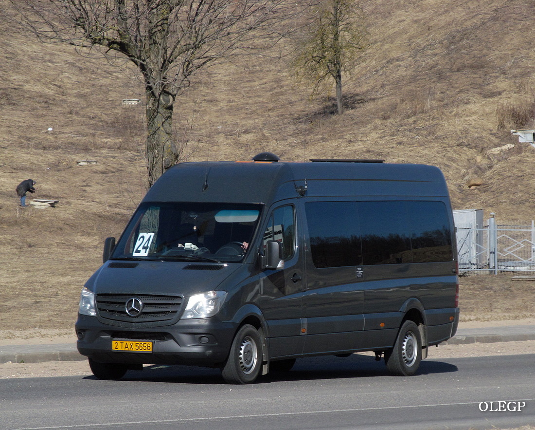 Витебская область, Mercedes-Benz Sprinter W906 310CDI № 2 ТАХ 5656