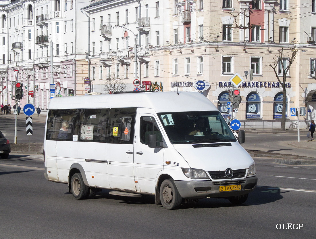 Витебская область, Луидор-223203 (MB Sprinter Classic) № 2 ТАХ 4874