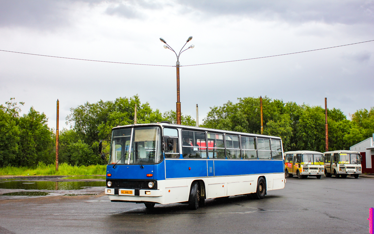 Архангельская область, Ikarus 260.51F № АС 446 29; Архангельская область — Заказная поездка на автобусе Ikarus 260.51F