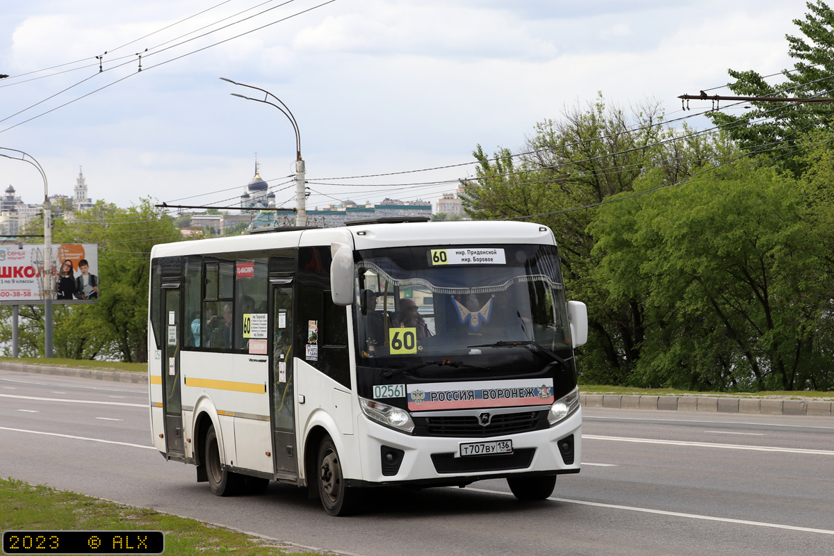 Воронежская область, ПАЗ-320405-04 "Vector Next" № 02561