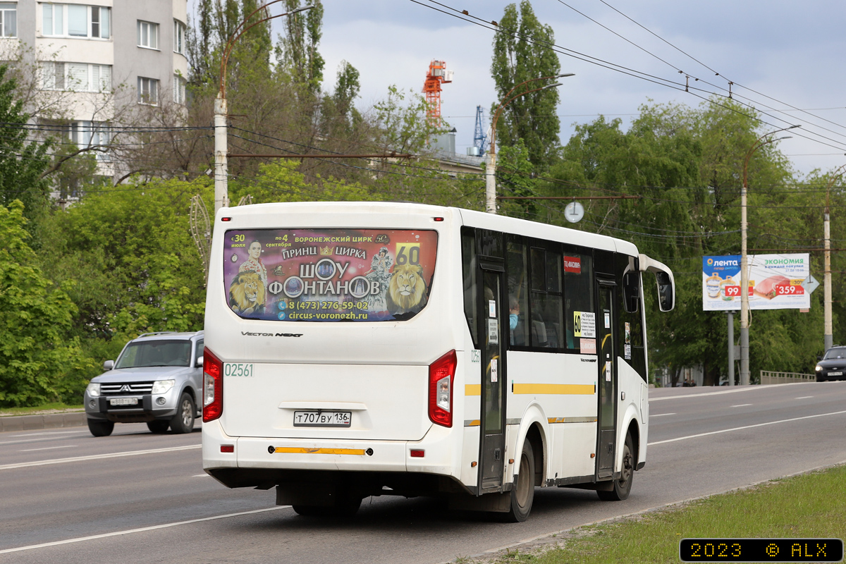 Воронежская область, ПАЗ-320405-04 "Vector Next" № 02561