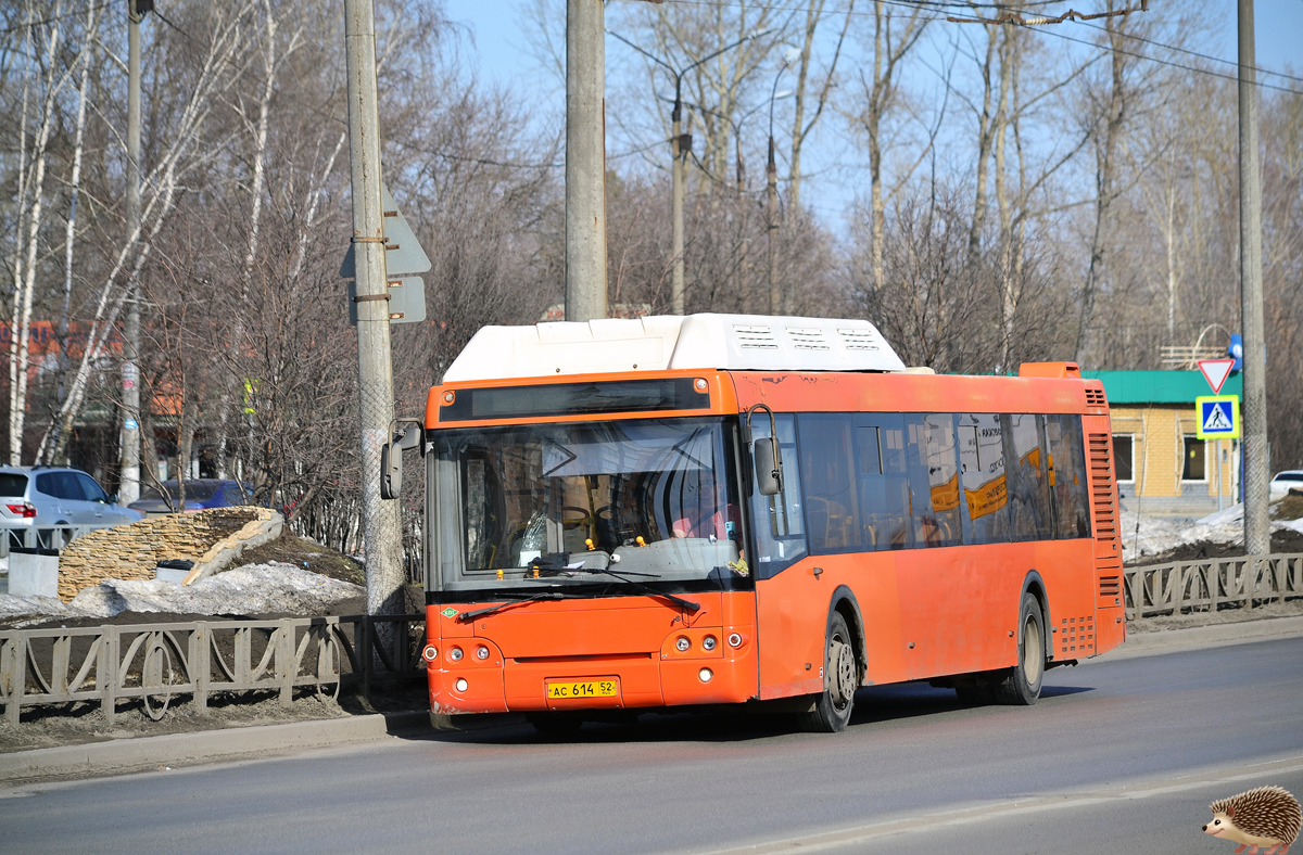 Нижегородская область, ЛиАЗ-5292.67 (CNG) № 20531