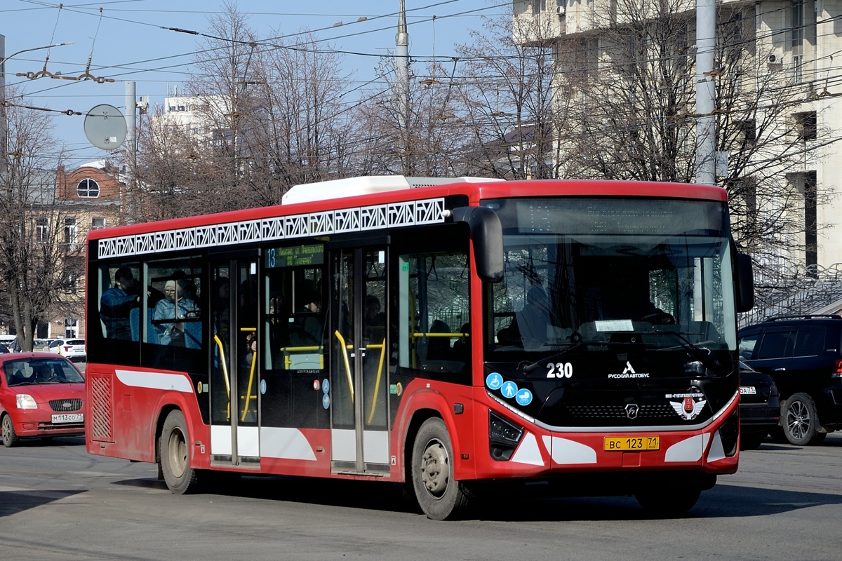 Тульская область, ПАЗ-422320-04 "Citymax 9" № 230