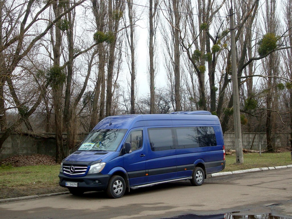 Винницкая область, Mercedes-Benz Sprinter W906 319CDI № AI 5040 PH