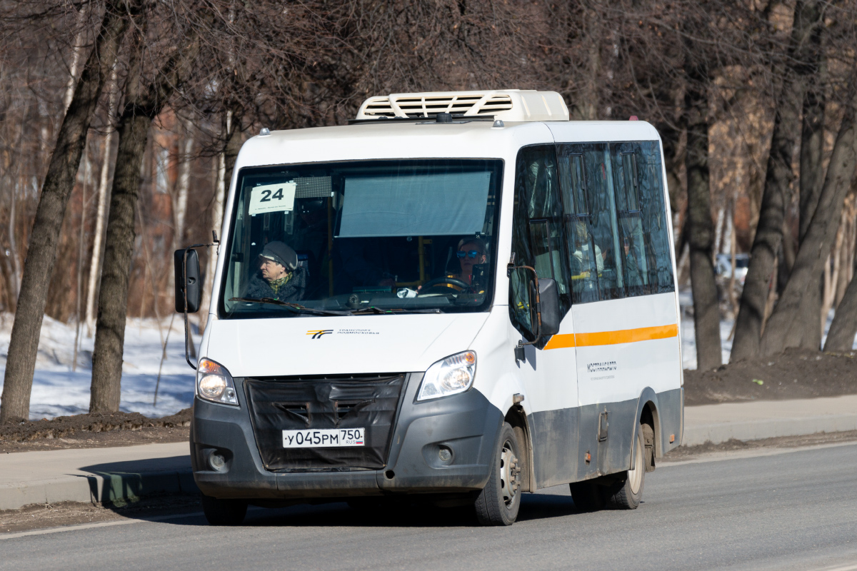 Московская область, Луидор-2250DS (ГАЗ Next) № У 045 РМ 750