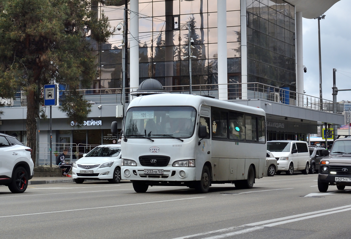 Krasnodar region, Hyundai County LWB (TagAZ) # Т 233 УВ 123