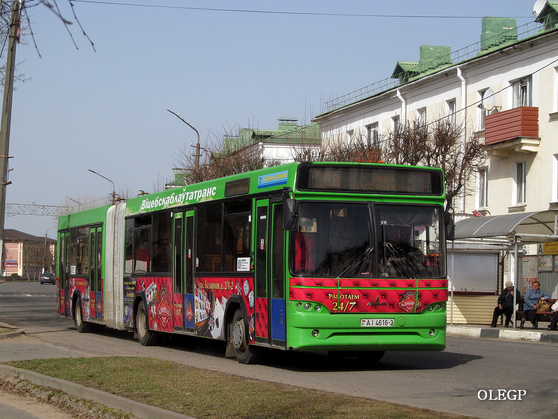 Витебская область, МАЗ-105.465 № 10464