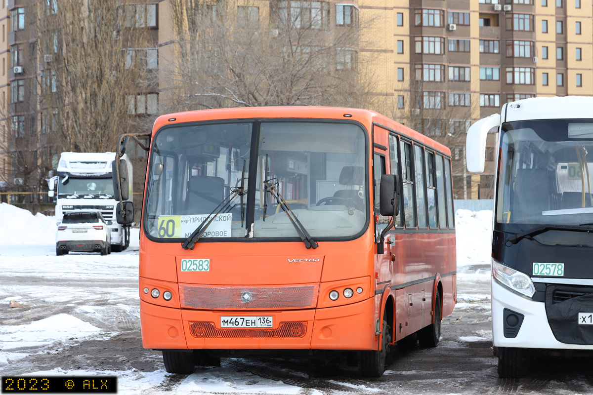 Воронежская область, ПАЗ-320414-05 "Вектор" № 02583