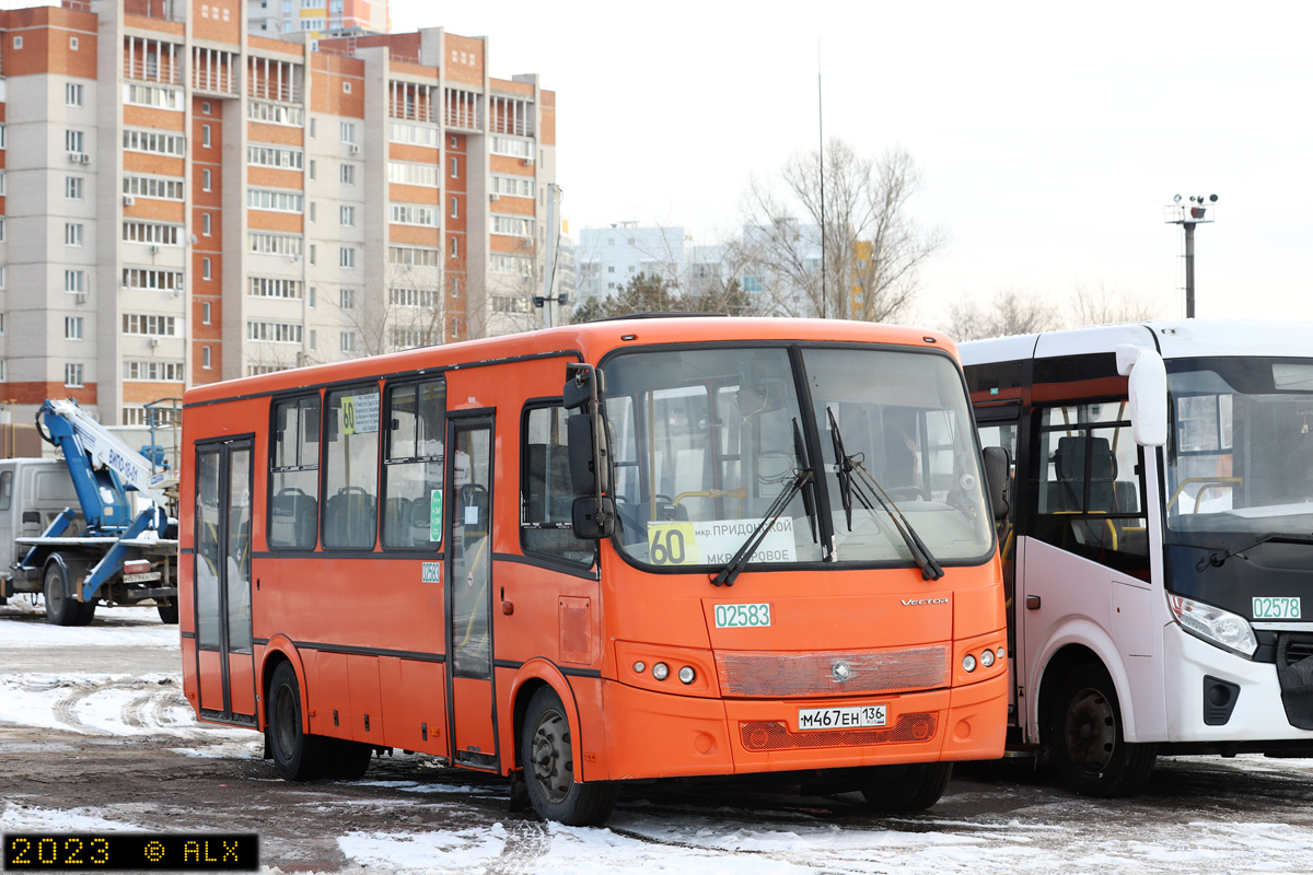 Воронежская область, ПАЗ-320414-05 "Вектор" № 02583