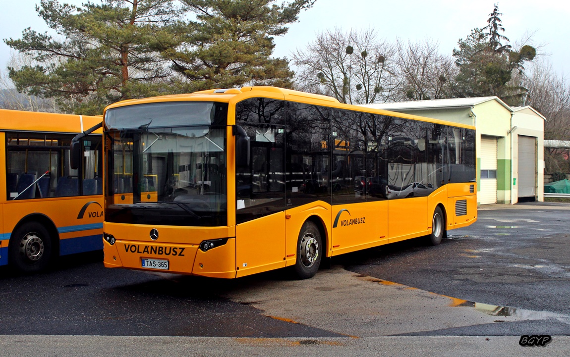 Венгрия, ITK Reform 501LE № TAS-365