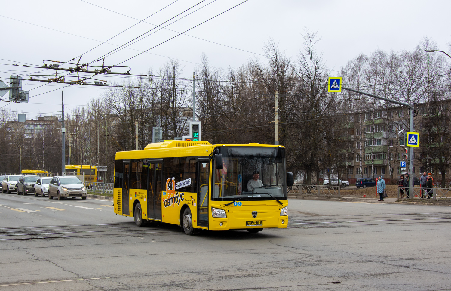 Ярославская область — Новые автобусы