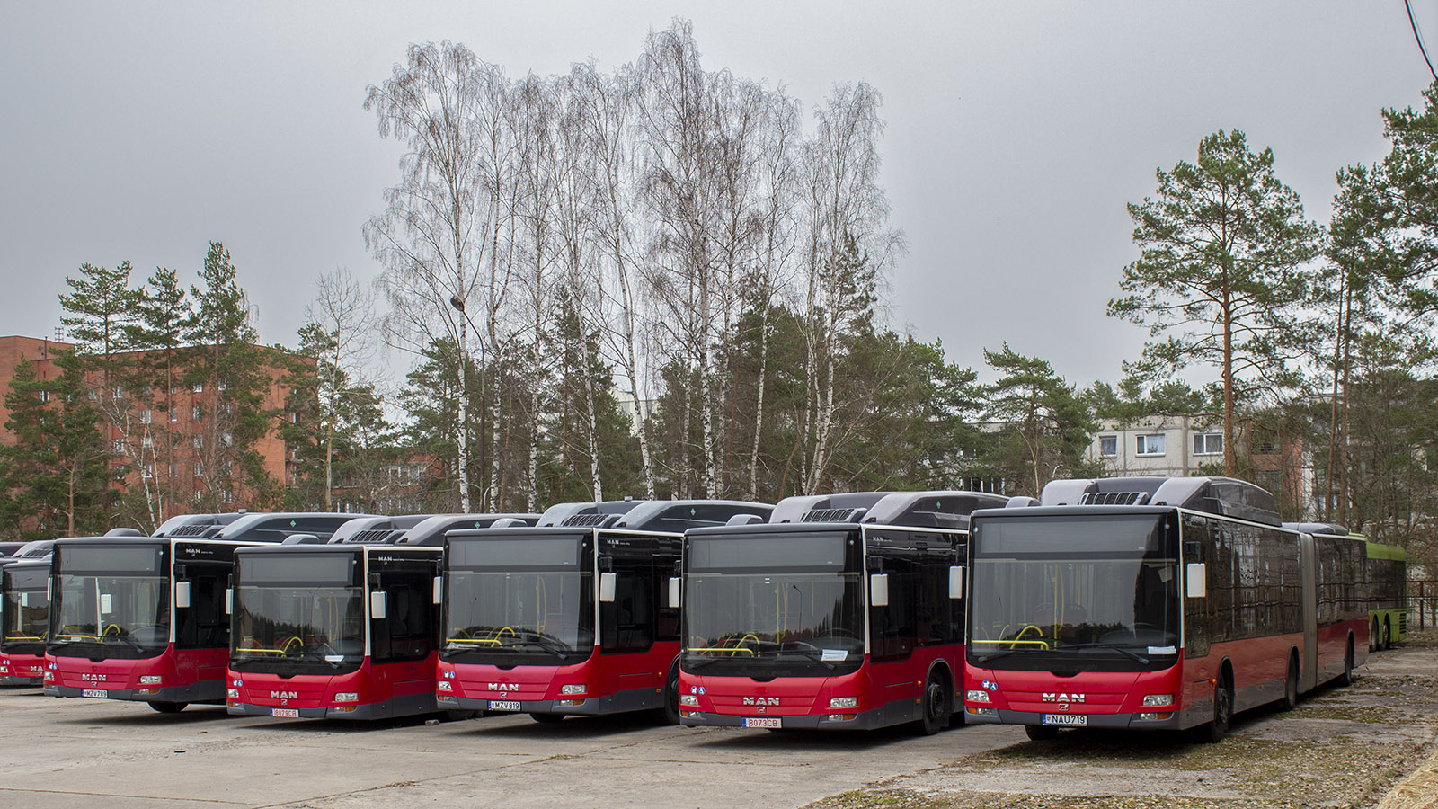 Литва, MAN A23 Lion's City G NG273 LPG № NAU 719