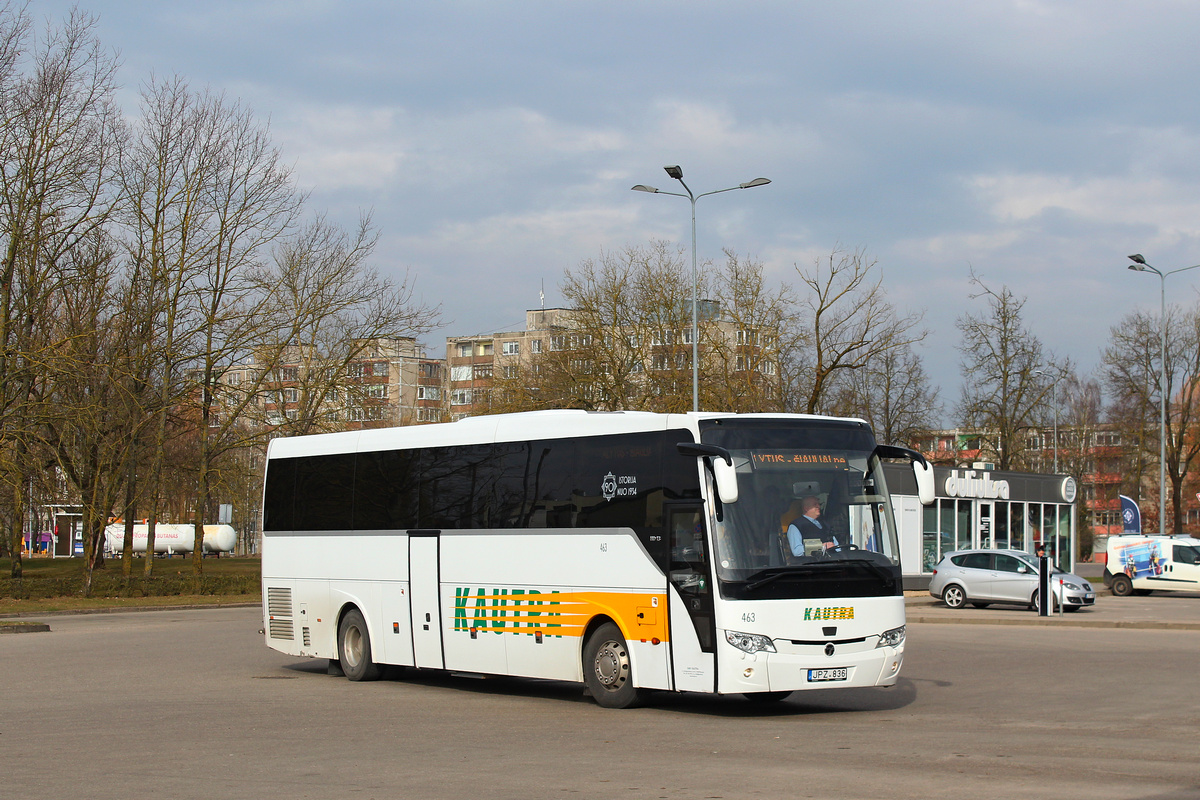 Литва, Temsa HD13 № 463