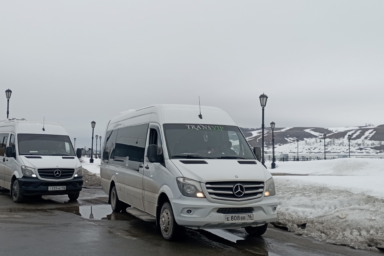 Татарстан, Луидор-223690 (MB Sprinter) № Е 808 ВВ 16