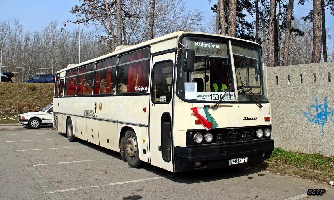 Венгрия, Ikarus 256.50VL № P-03802 21