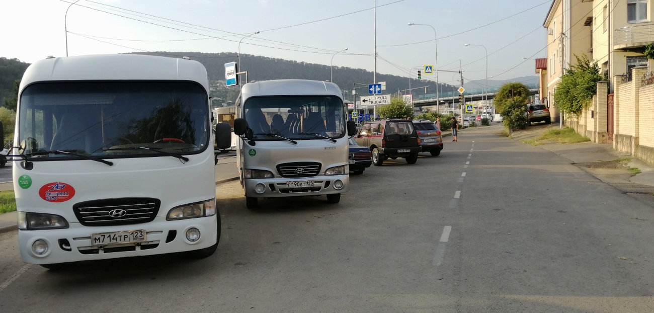 Краснодарский край, Hyundai County LWB C11 (ТагАЗ) № М 714 ТР 123