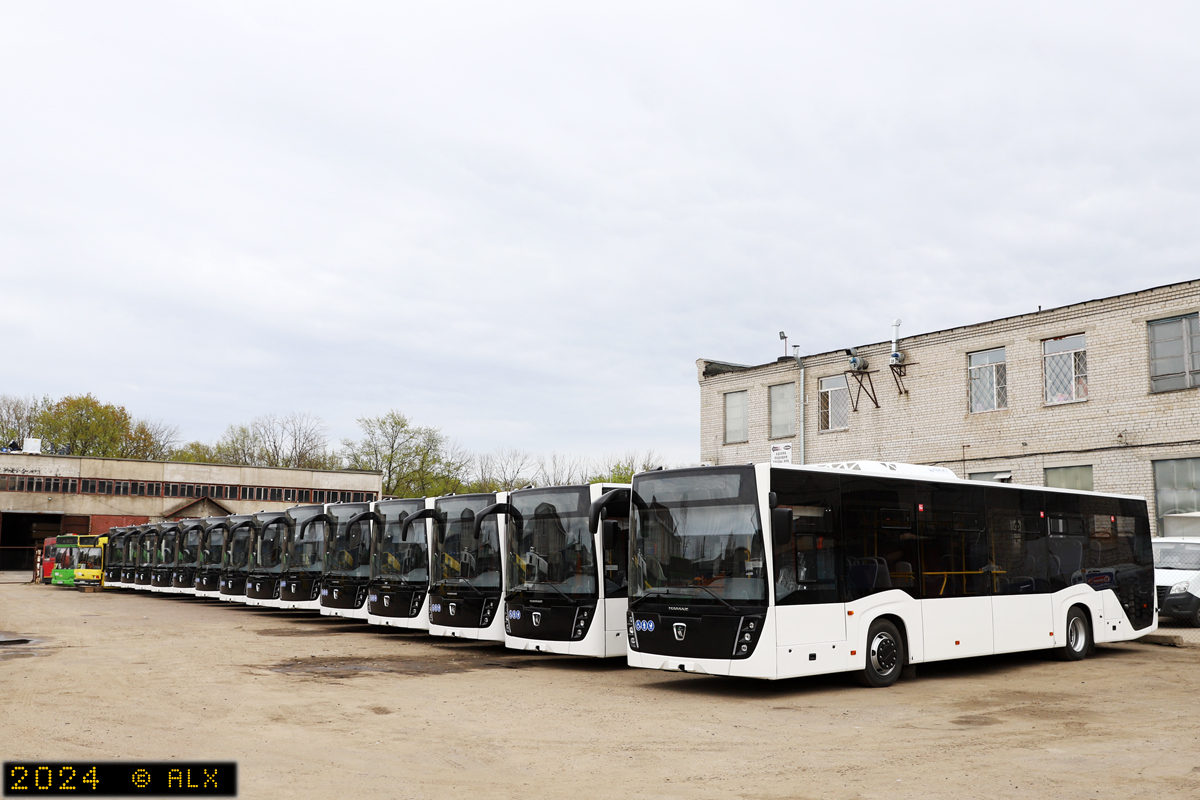Воронежская область — Новые автобусы