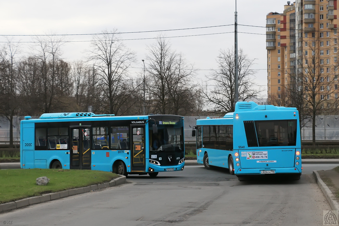 Санкт-Петербург, Volgabus-4298.G4 (LNG) № 6979; Санкт-Петербург, МАЗ-216.047 № 5541