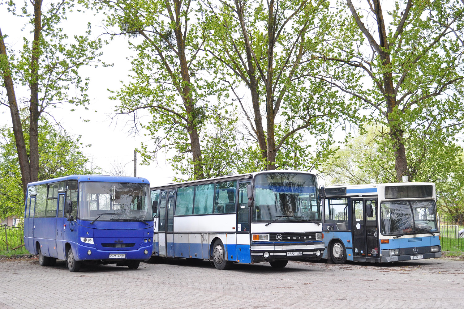 Калининградская область, МАЗ-256.270 № С 693 АО 39 Калининградская область, МАЗ-256.270 № С 693 АО 39