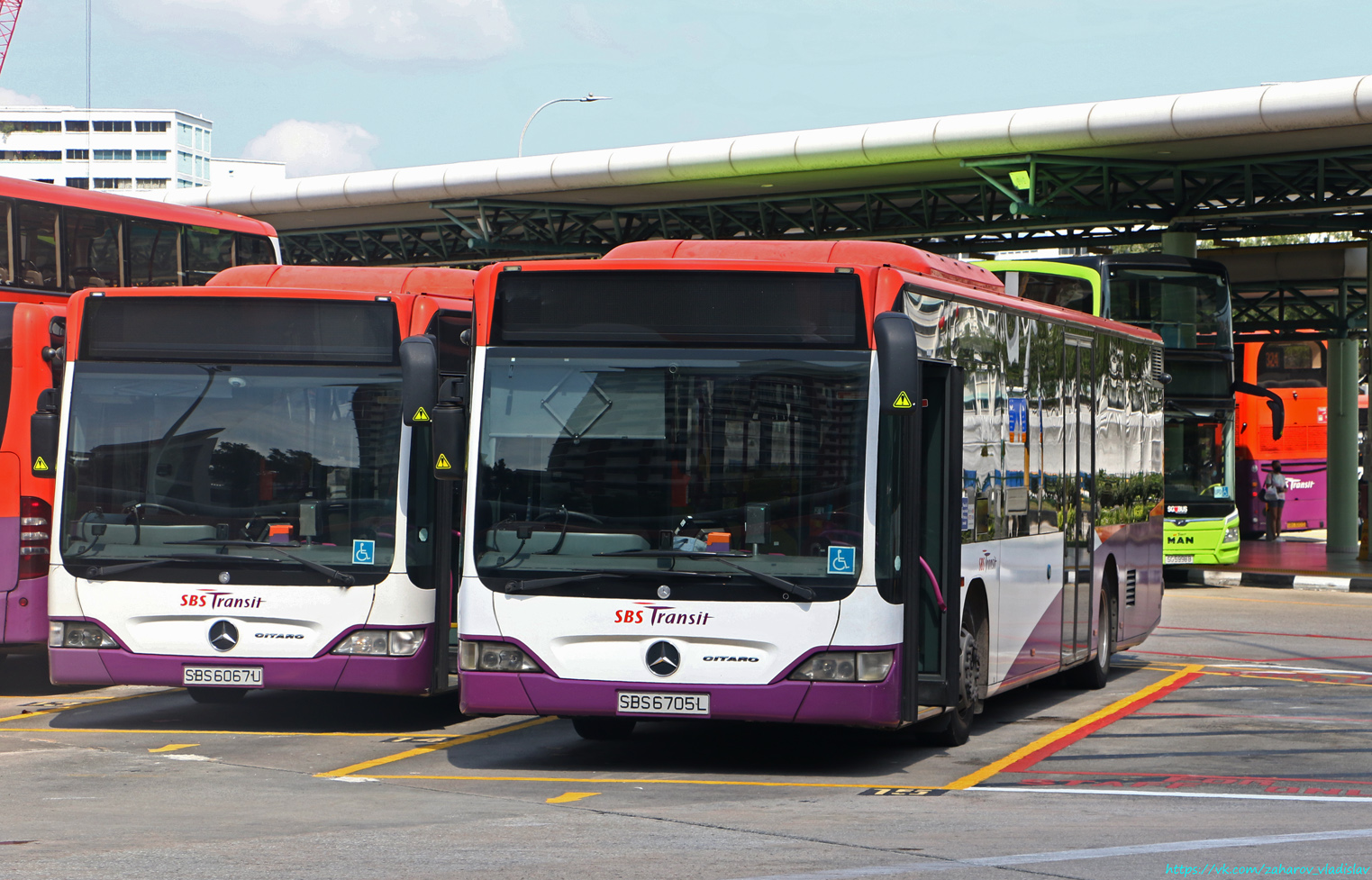 Сингапур, Mercedes-Benz O530 Citaro facelift RL № SBS6705L