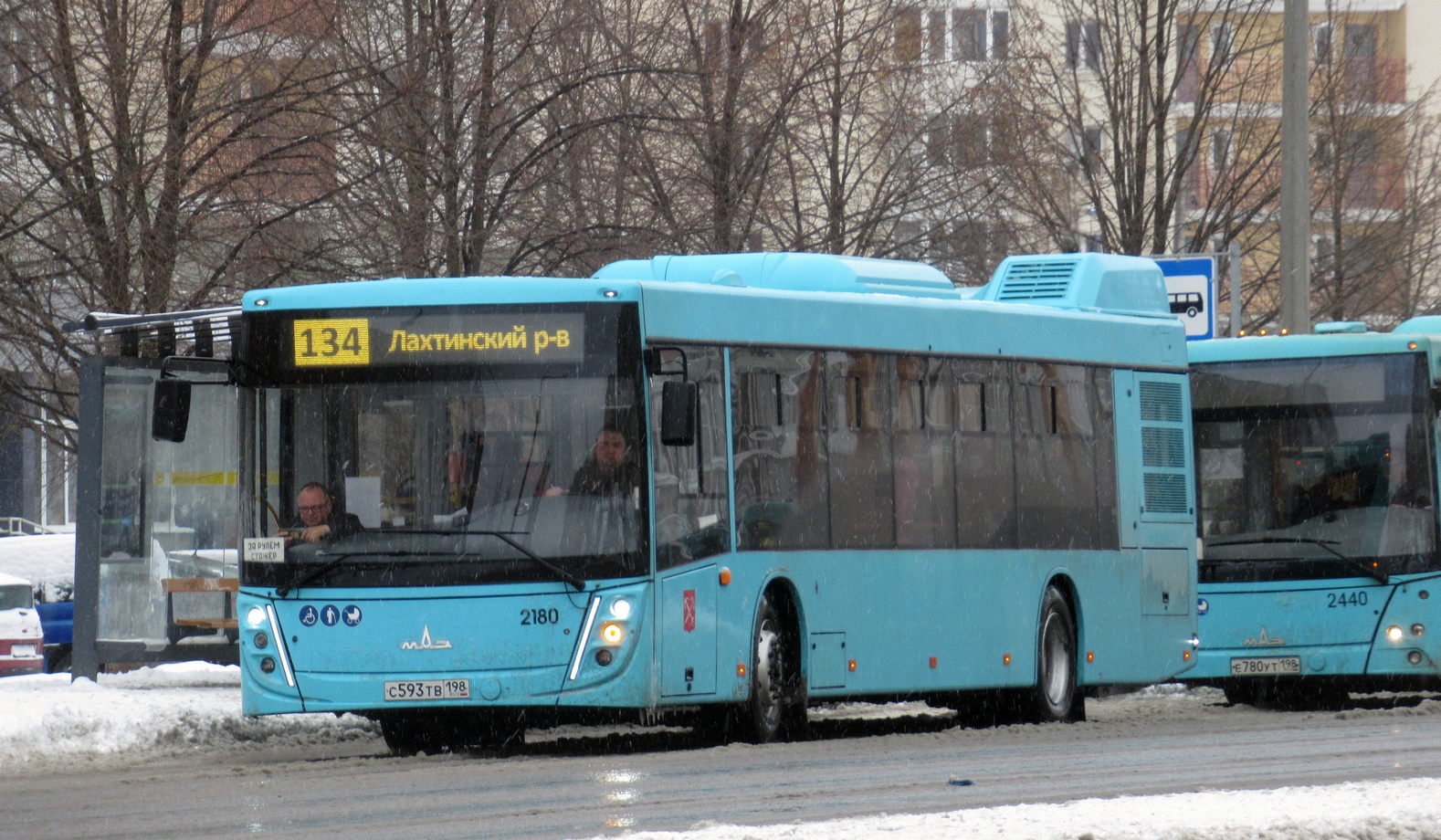 Санкт-Петербург, МАЗ-203.047 № 2180