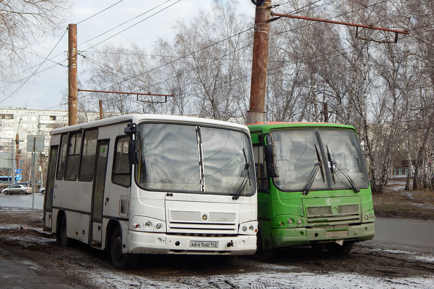 Кемеровская область - Кузбасс, ПАЗ-320302-08 № А 641 НВ 142