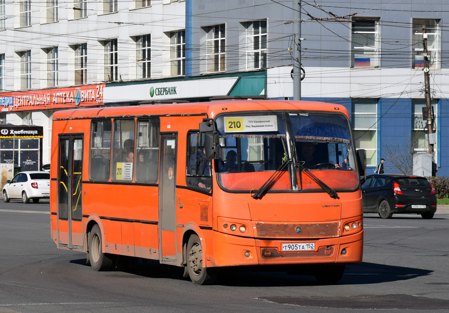 Нижегородская область, ПАЗ-320414-05 "Вектор" № Т 905 ТА 152