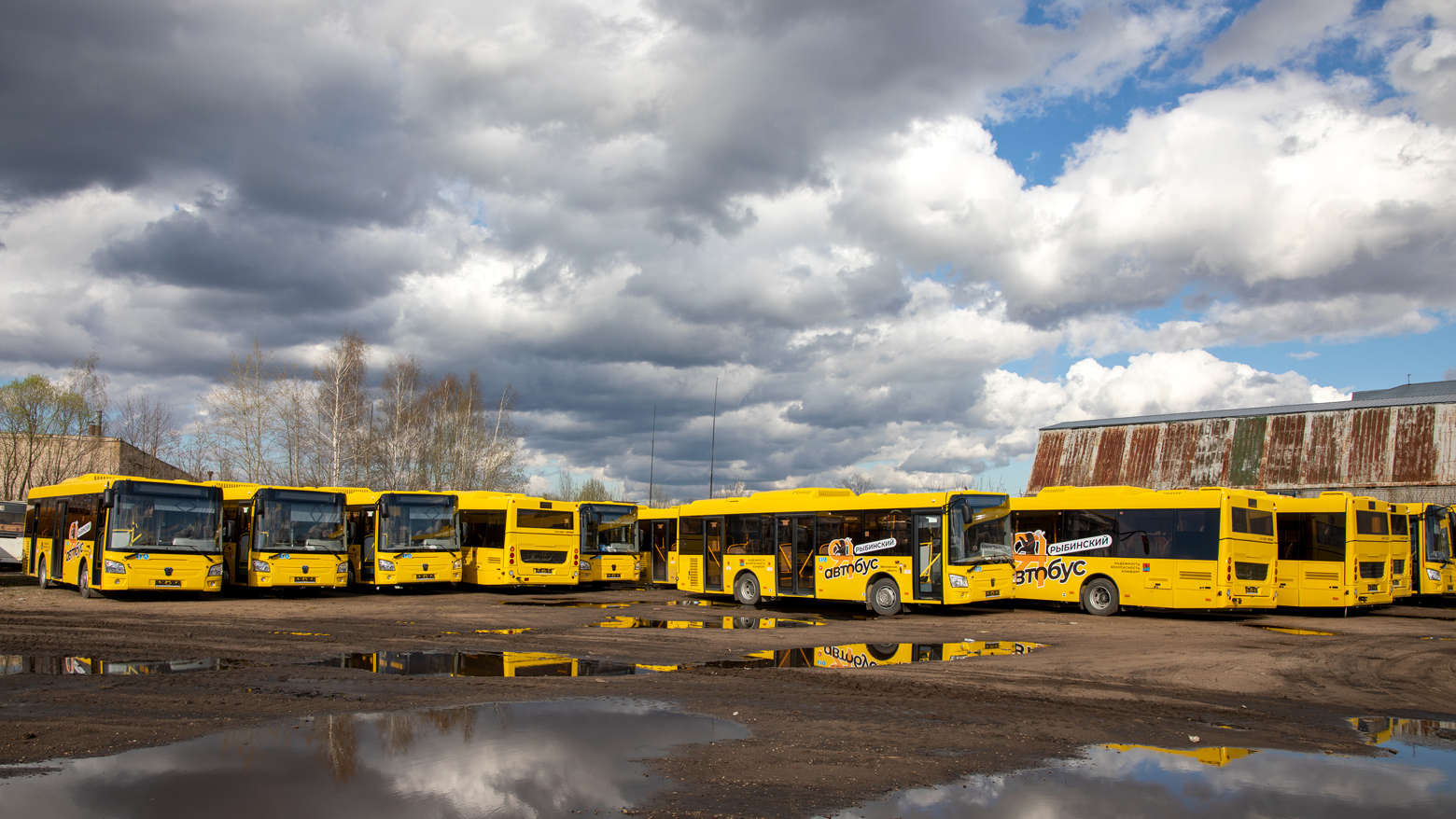 Ярославская область — Новые автобусы