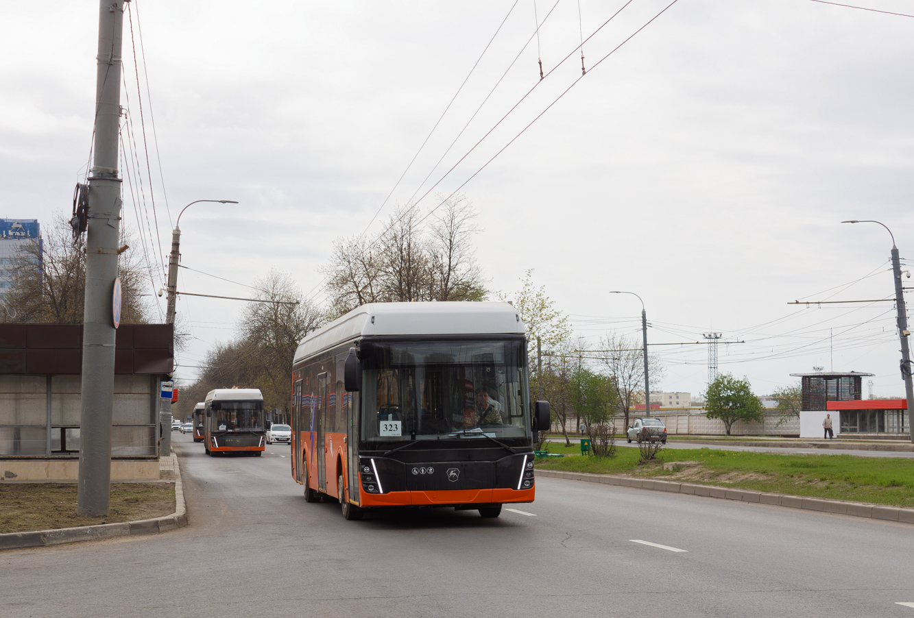 Нижегородская область, ЛиАЗ-6274 № 3034